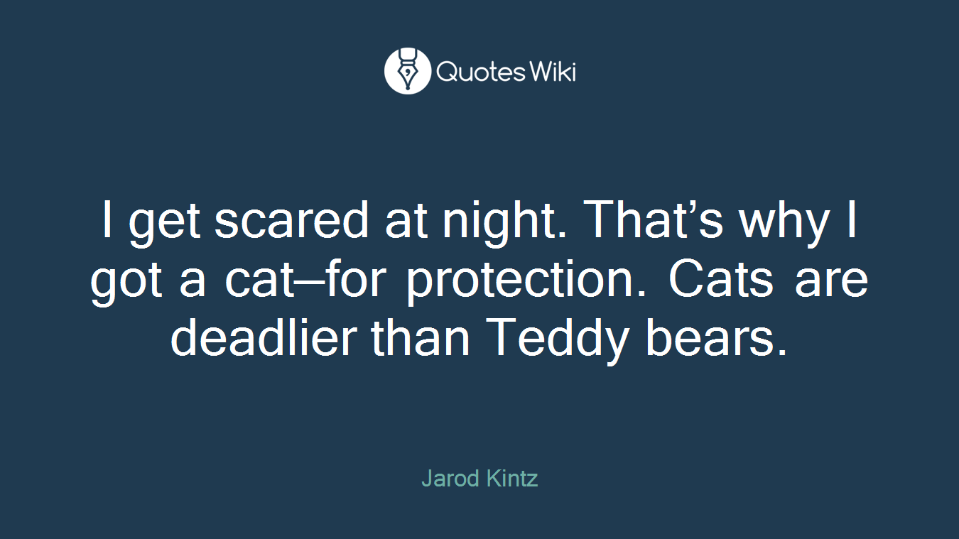 I get scared at night. That’s why I got a cat—for protection. Cats are deadlier than Teddy bears.