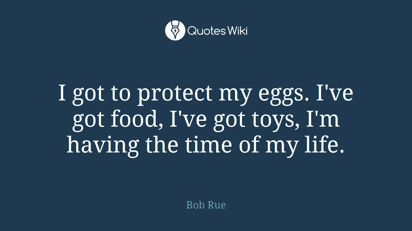 I got to protect my eggs. I've got food, I've got toys, I'm having the time of my life.
