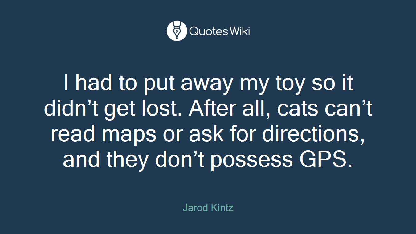 I had to put away my toy so it didn’t get lost. After all, cats can’t read maps or ask for directions, and they don’t possess GPS.