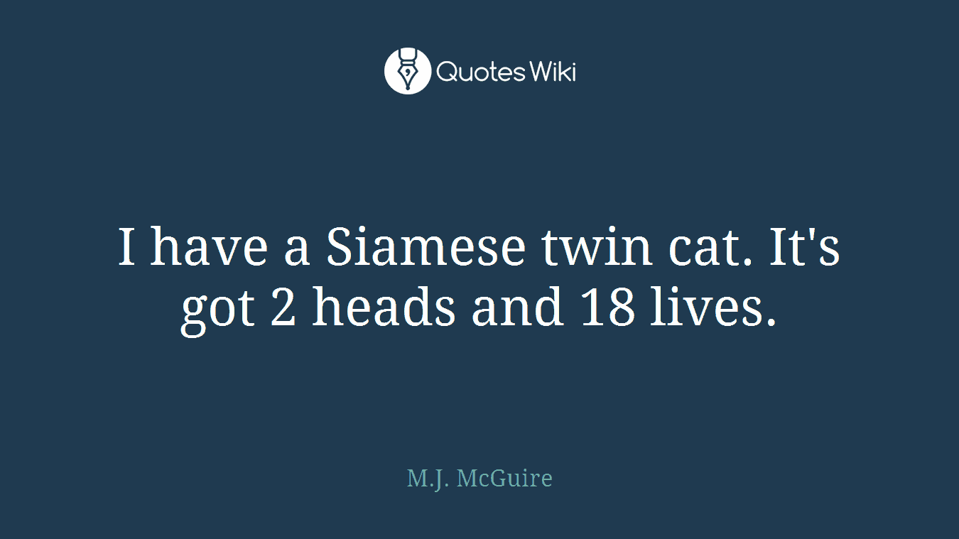 I have a Siamese twin cat. It's got 2 heads and 18 lives.
