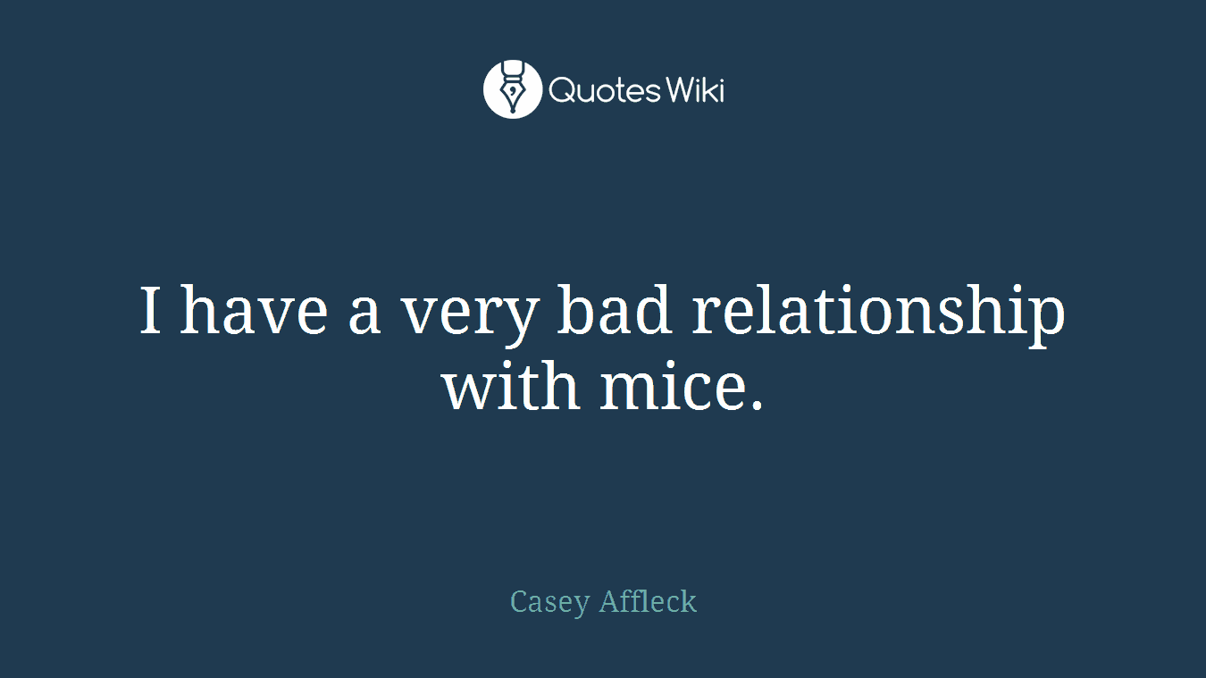 I have a very bad relationship with mice.