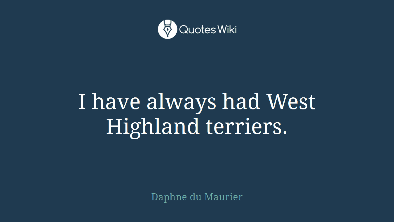 I have always had West Highland terriers.