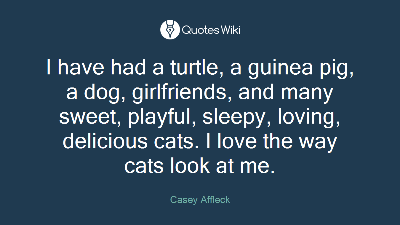 I have had a turtle, a guinea pig, a dog, girlfriends, and many sweet, playful, sleepy, loving, delicious cats. I love the way cats look at me.