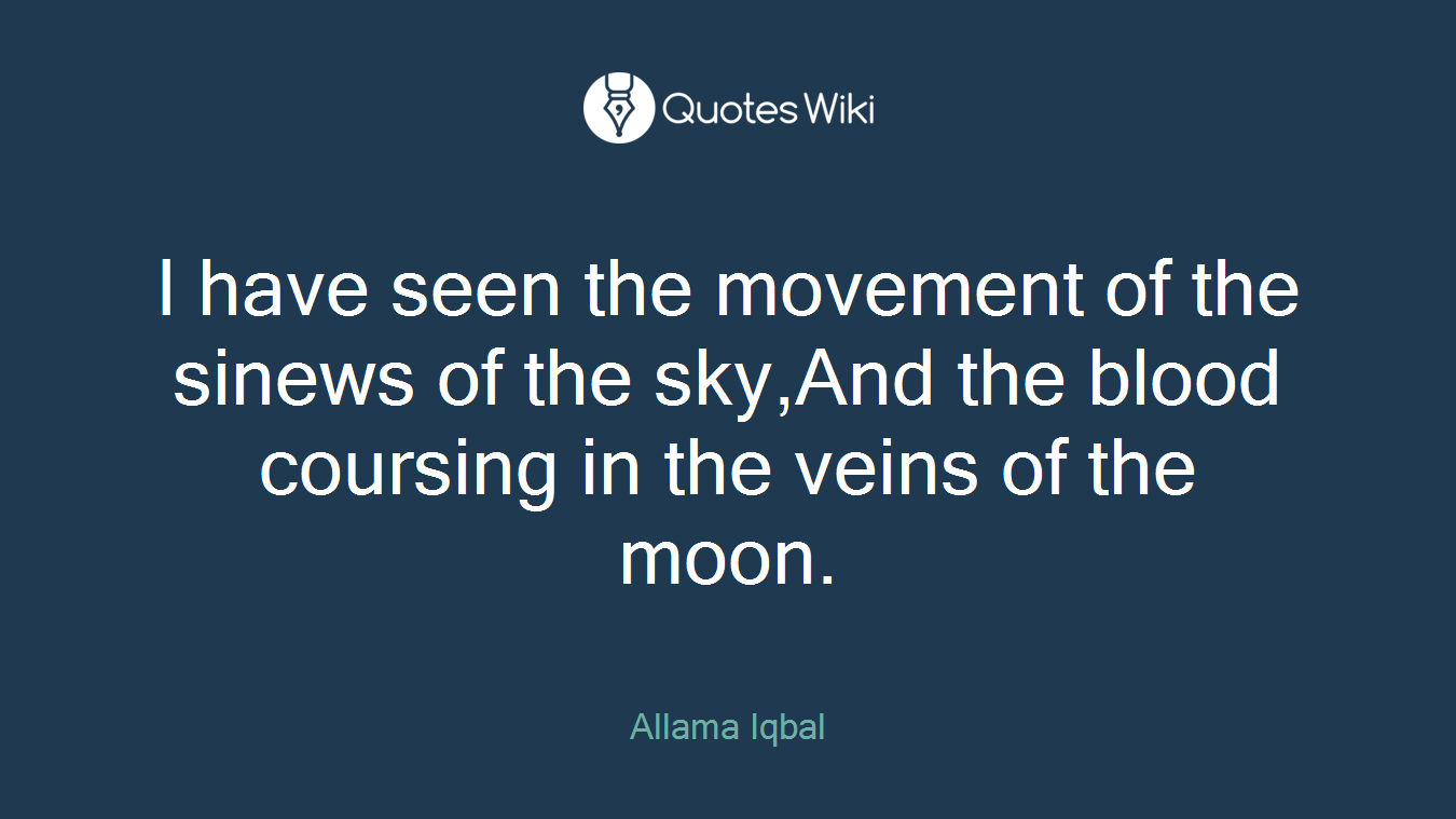 I have seen the movement of the sinews of the sky,And the blood coursing in the veins of the moon.