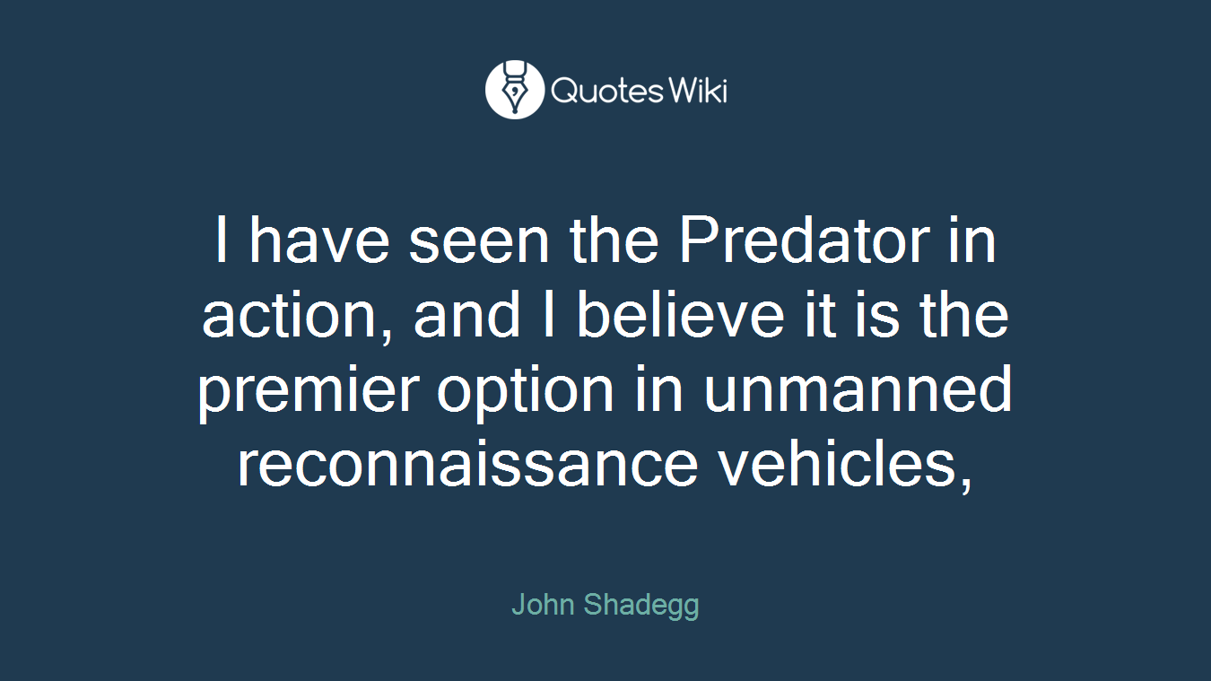 I have seen the Predator in action, and I believe it is the premier option in unmanned reconnaissance vehicles,