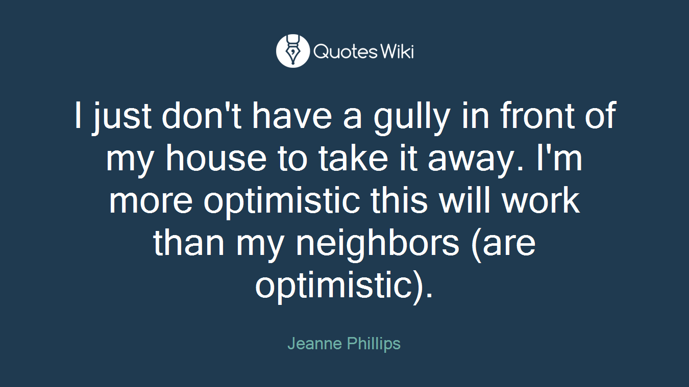 I just don't have a gully in front of my house to take it away. I'm more optimistic this will work than my neighbors (are optimistic).