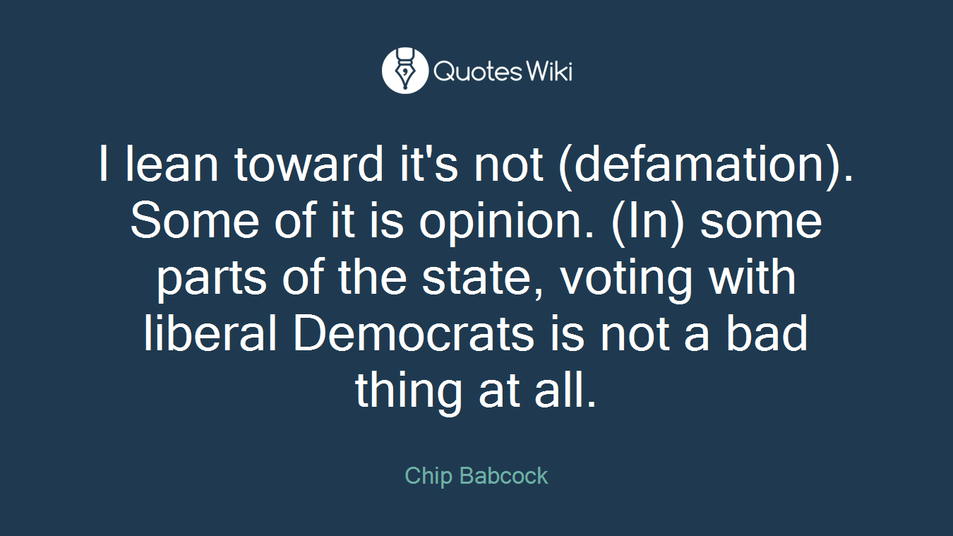 I lean toward it's not (defamation). Some of it is opinion. (In) some parts of the state, voting with liberal Democrats is not a bad thing at all.