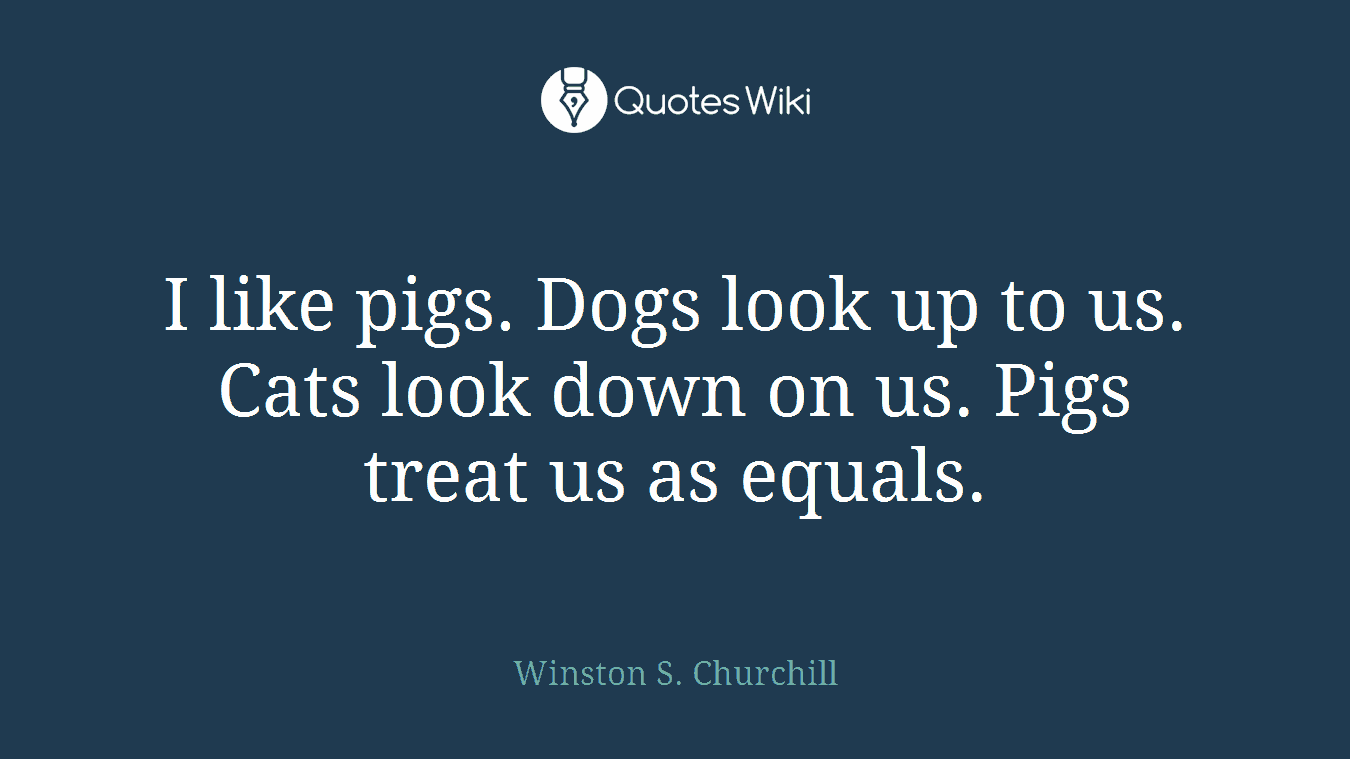 I like pigs. Dogs look up to us. Cats look down on us. Pigs treat us as equals.