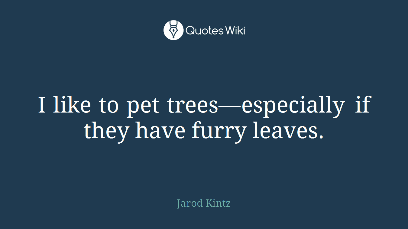 I like to pet trees—especially if they have furry leaves.