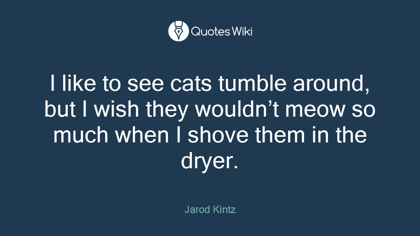 I like to see cats tumble around, but I wish they wouldn’t meow so much when I shove them in the dryer.