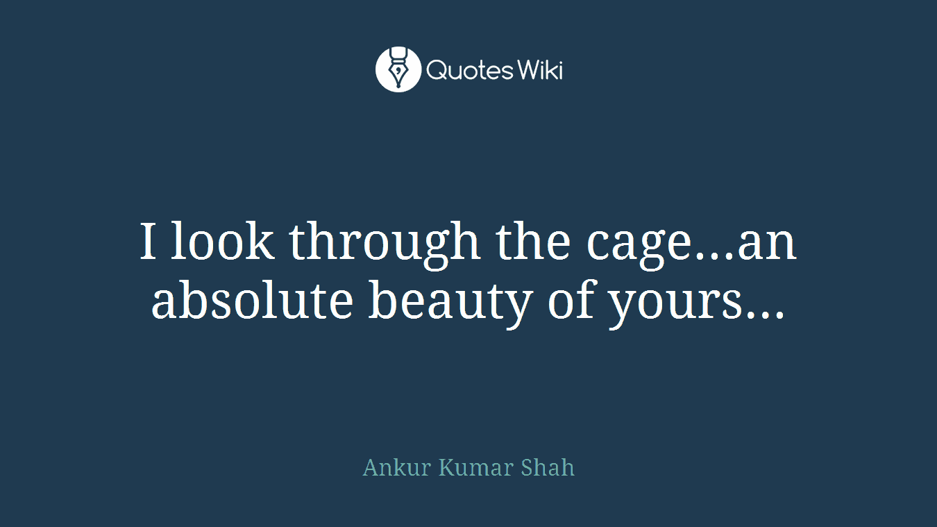 I look through the cage...an absolute beauty of yours...
