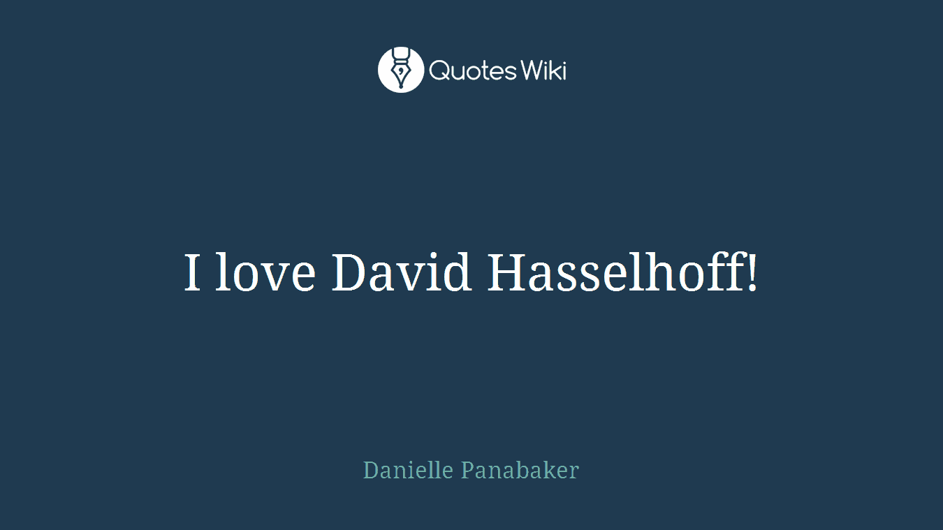 I love David Hasselhoff!