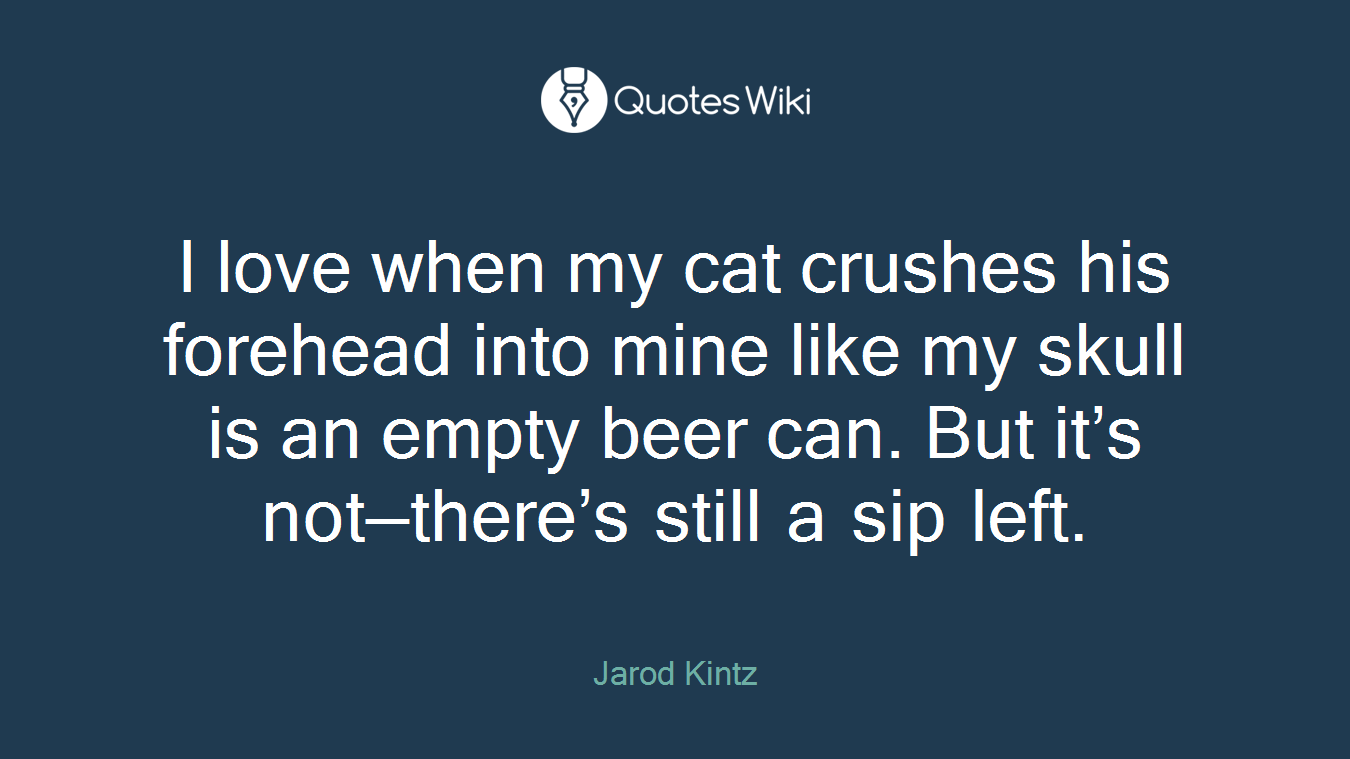 I love when my cat crushes his forehead into mine like my skull is an empty beer can. But it’s not—there’s still a sip left.