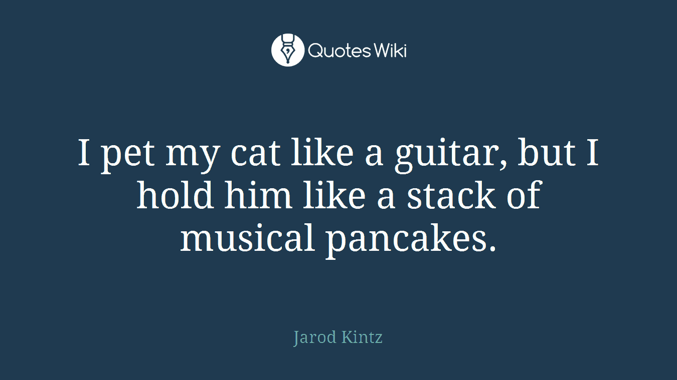 I pet my cat like a guitar, but I hold him like a stack of musical pancakes.