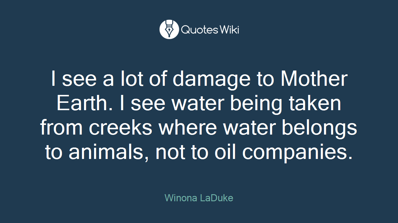I see a lot of damage to Mother Earth. I see water being taken from creeks where water belongs to animals, not to oil companies.