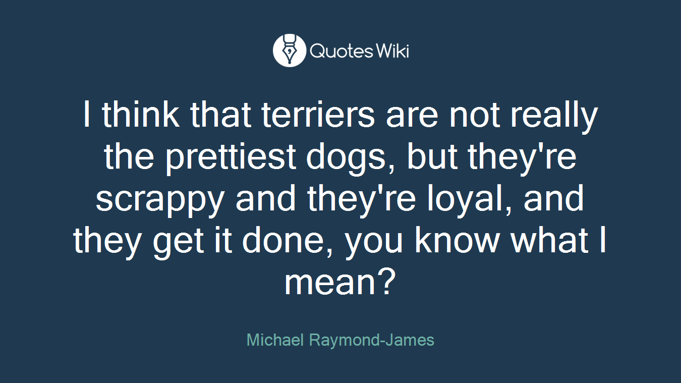 I think that terriers are not really the prettiest dogs, but they're scrappy and they're loyal, and they get it done, you know what I mean?