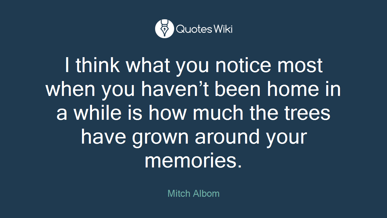 I think what you notice most when you haven’t been home in a while is how much the trees have grown around your memories.