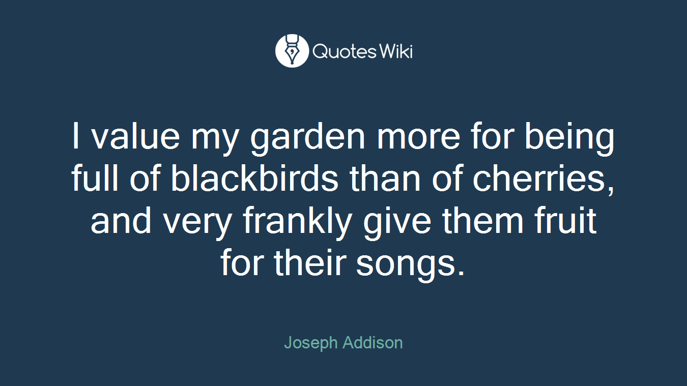 I value my garden more for being full of blackbirds than of cherries, and very frankly give them fruit for their songs.