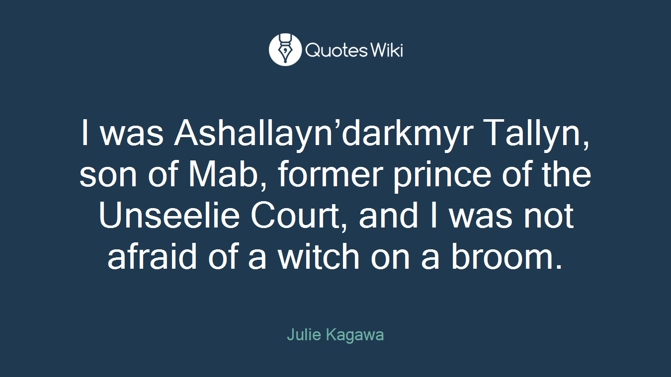 I was Ashallayn’darkmyr Tallyn, son of Mab, former prince of the Unseelie Court, and I was not afraid of a witch on a broom.