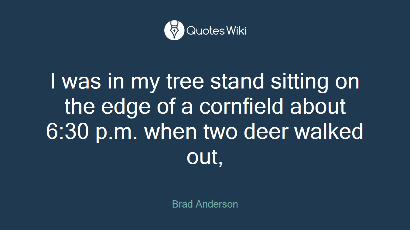 I was in my tree stand sitting on the edge of a cornfield about 6:30 p.m. when two deer walked out,