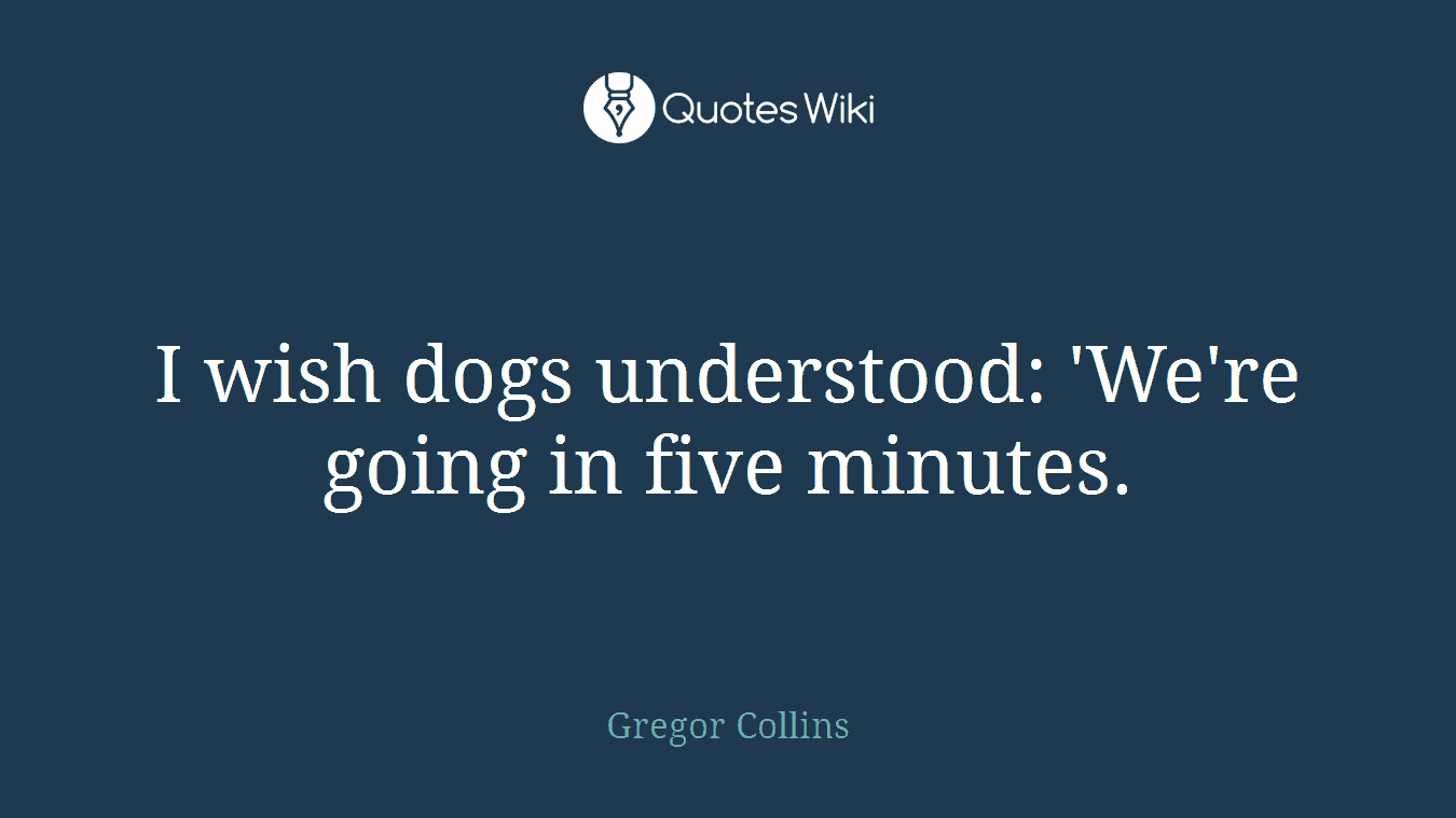 I wish dogs understood: 'We're going in five minutes.