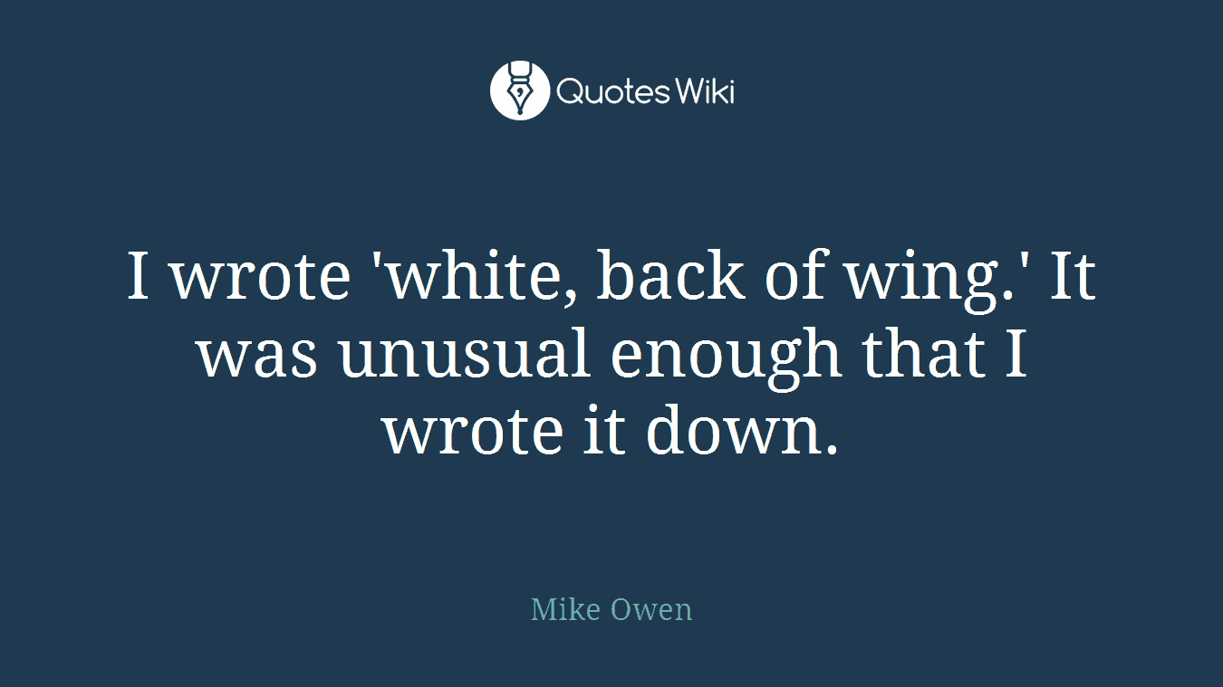 I wrote 'white, back of wing.' It was unusual enough that I wrote it down.