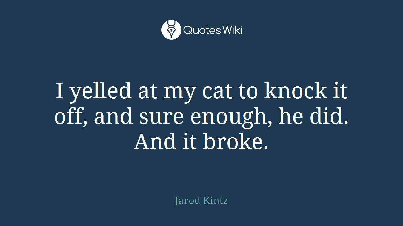 I yelled at my cat to knock it off, and sure enough, he did. And it broke.
