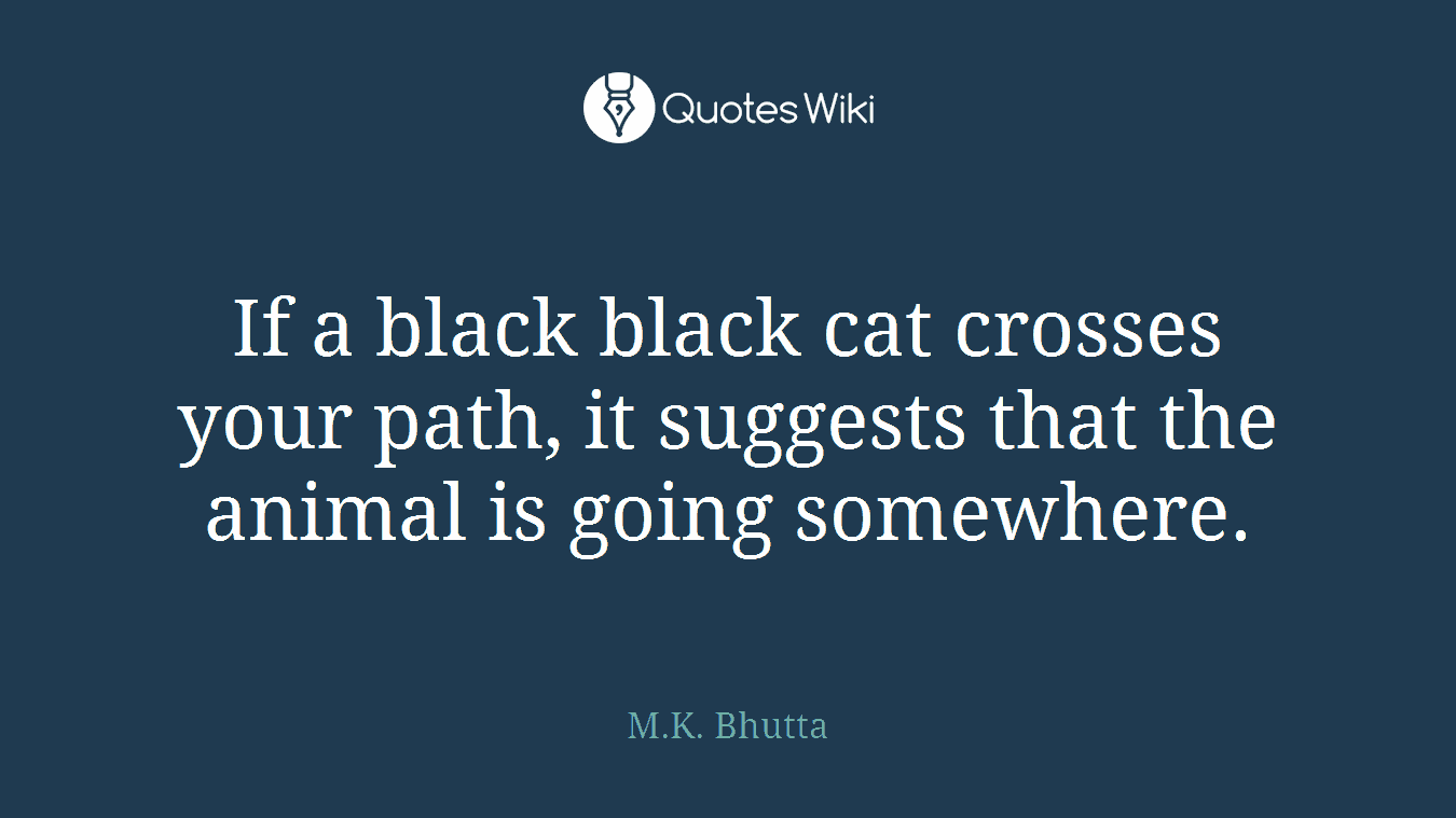 If a black black cat crosses your path, it suggests that the animal is going somewhere.