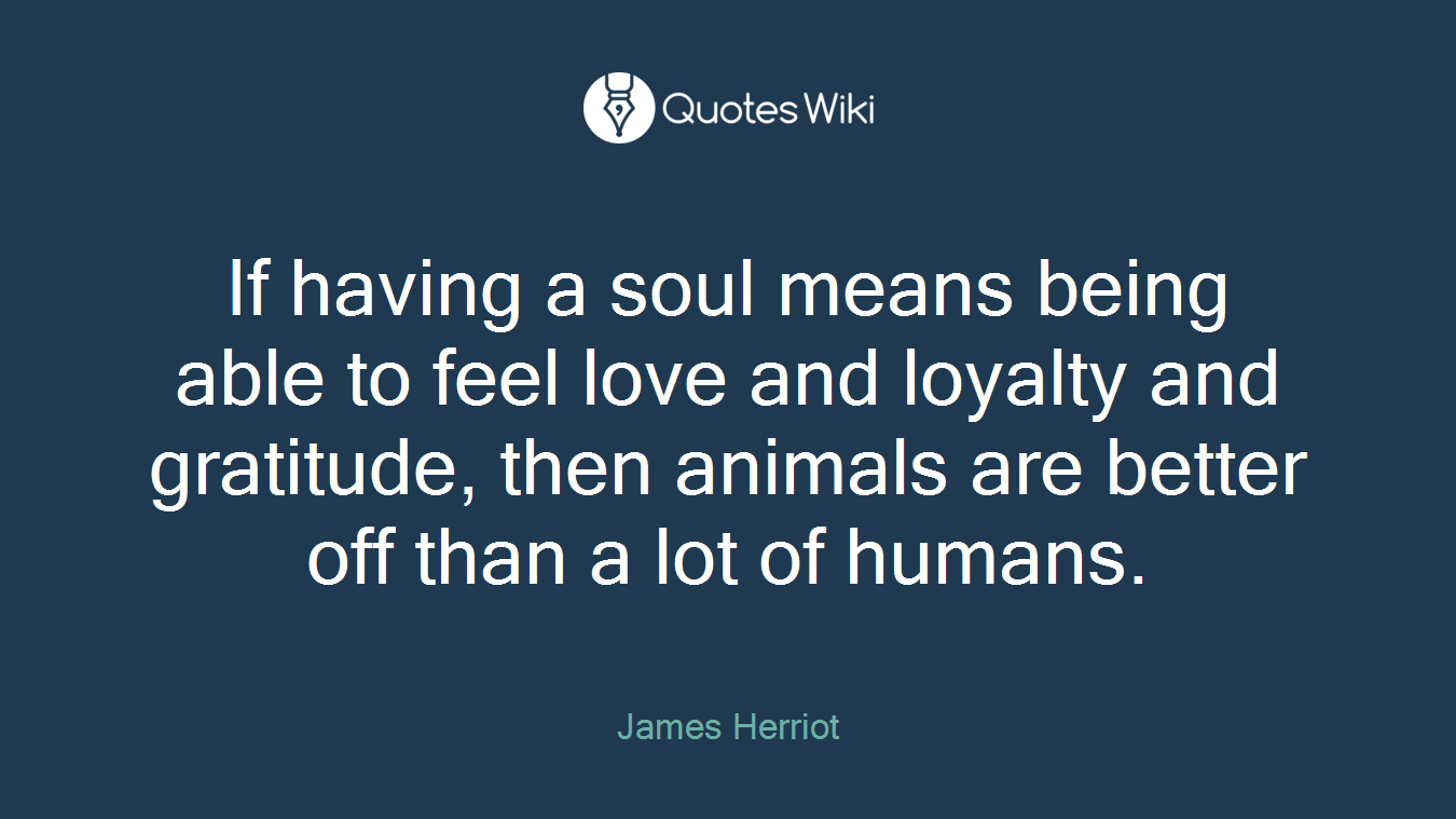 If having a soul means being able to feel love and loyalty and gratitude, then animals are better off than a lot of humans.