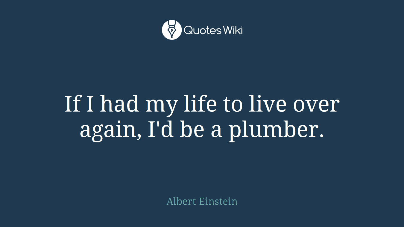 If I had my life to live over again, I'd be a plumber.
