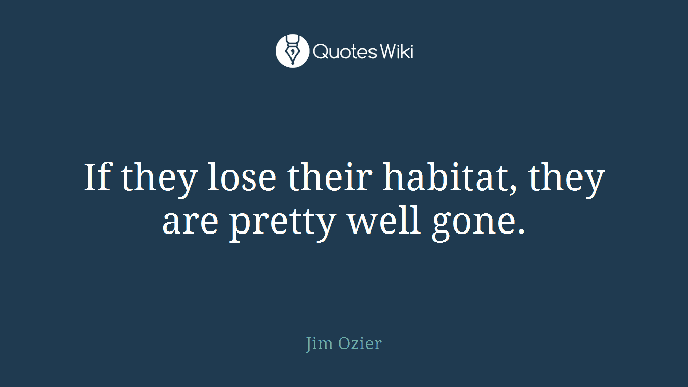 If they lose their habitat, they are pretty well gone.