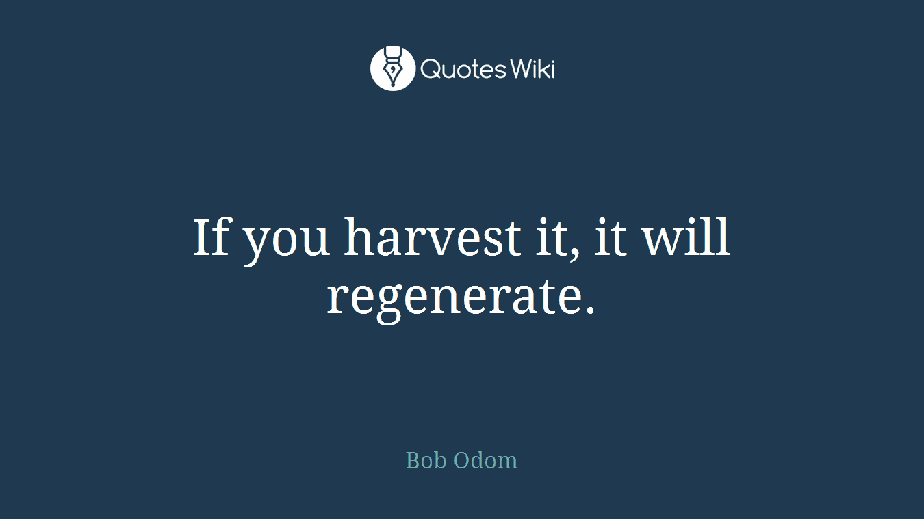 If you harvest it, it will regenerate.