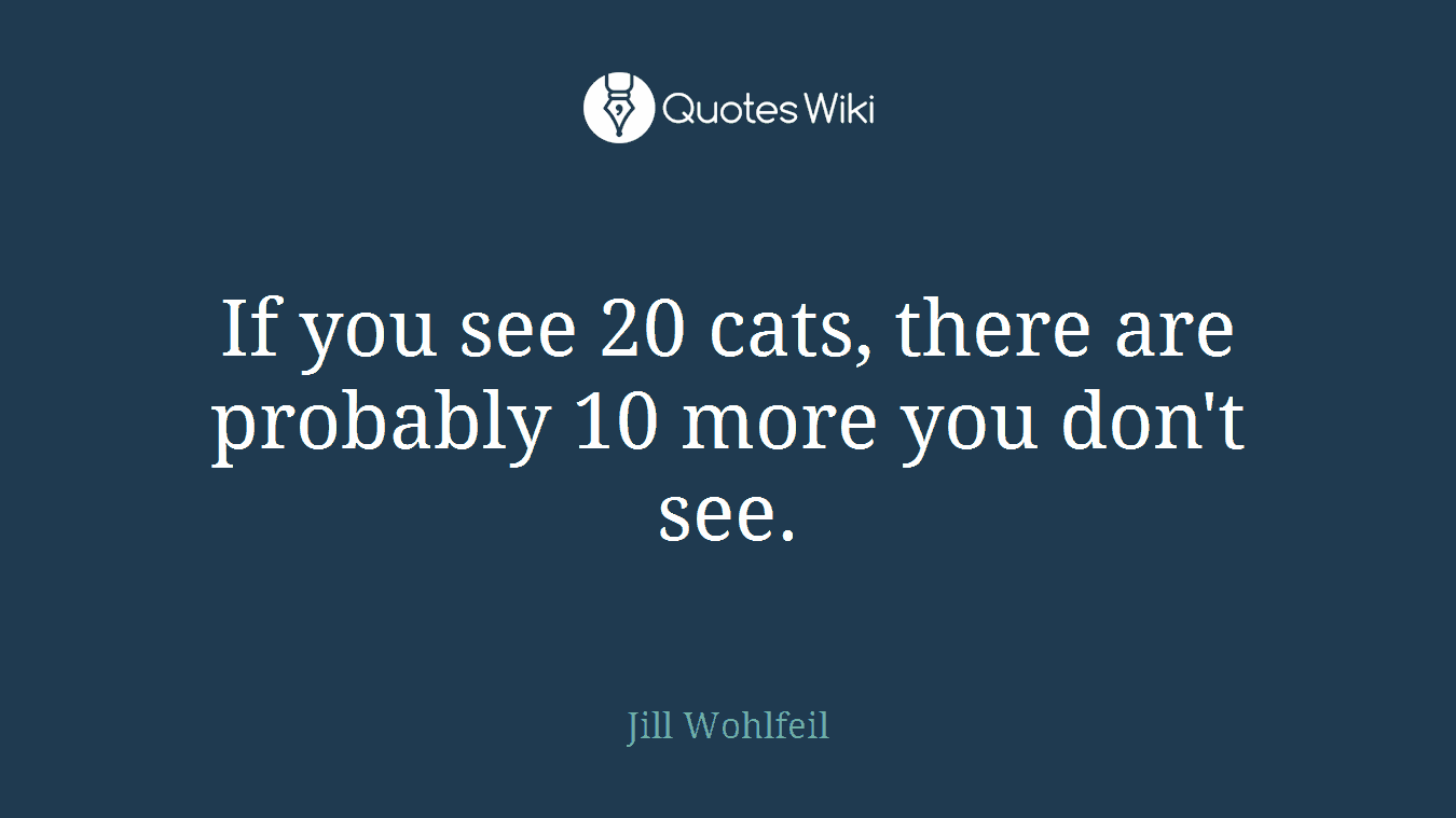 If you see 20 cats, there are probably 10 more you don't see.