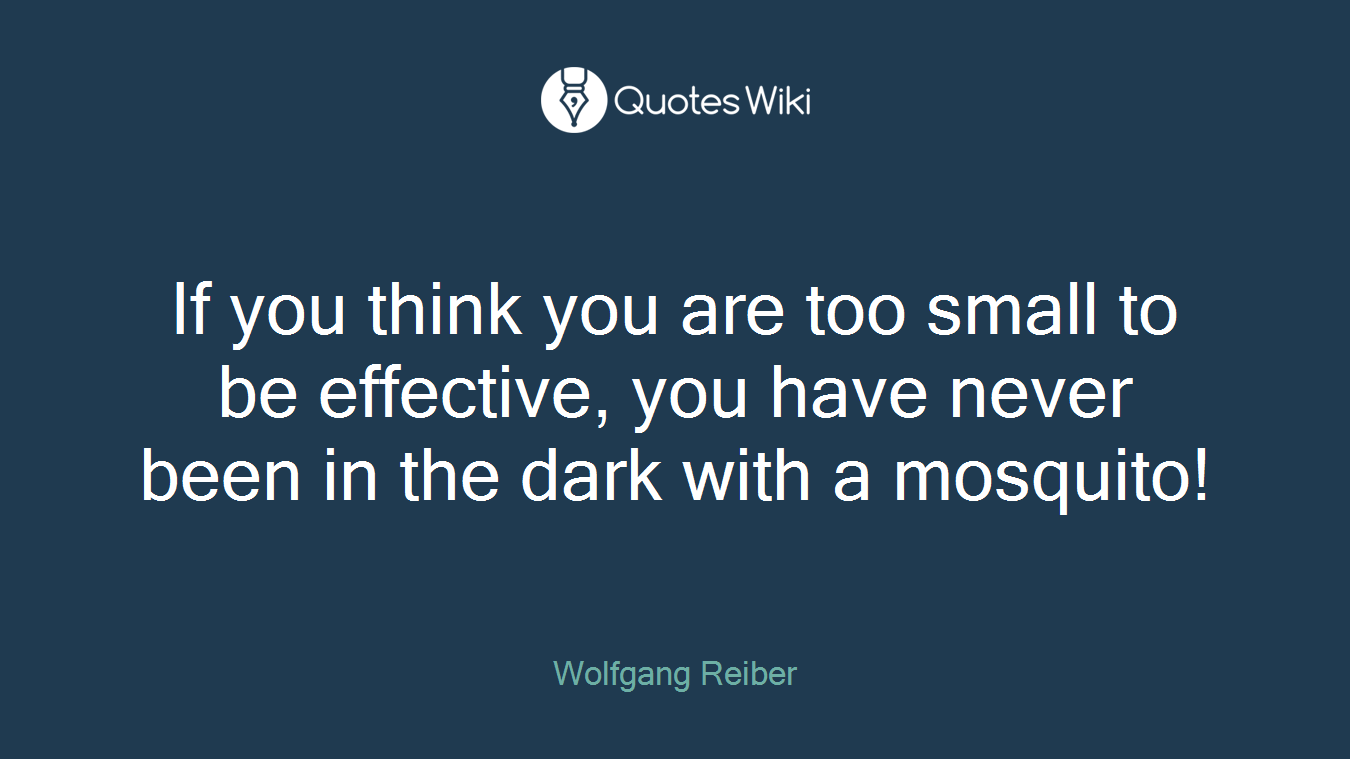 If you think you are too small to be effective, you have never been in the dark with a mosquito!