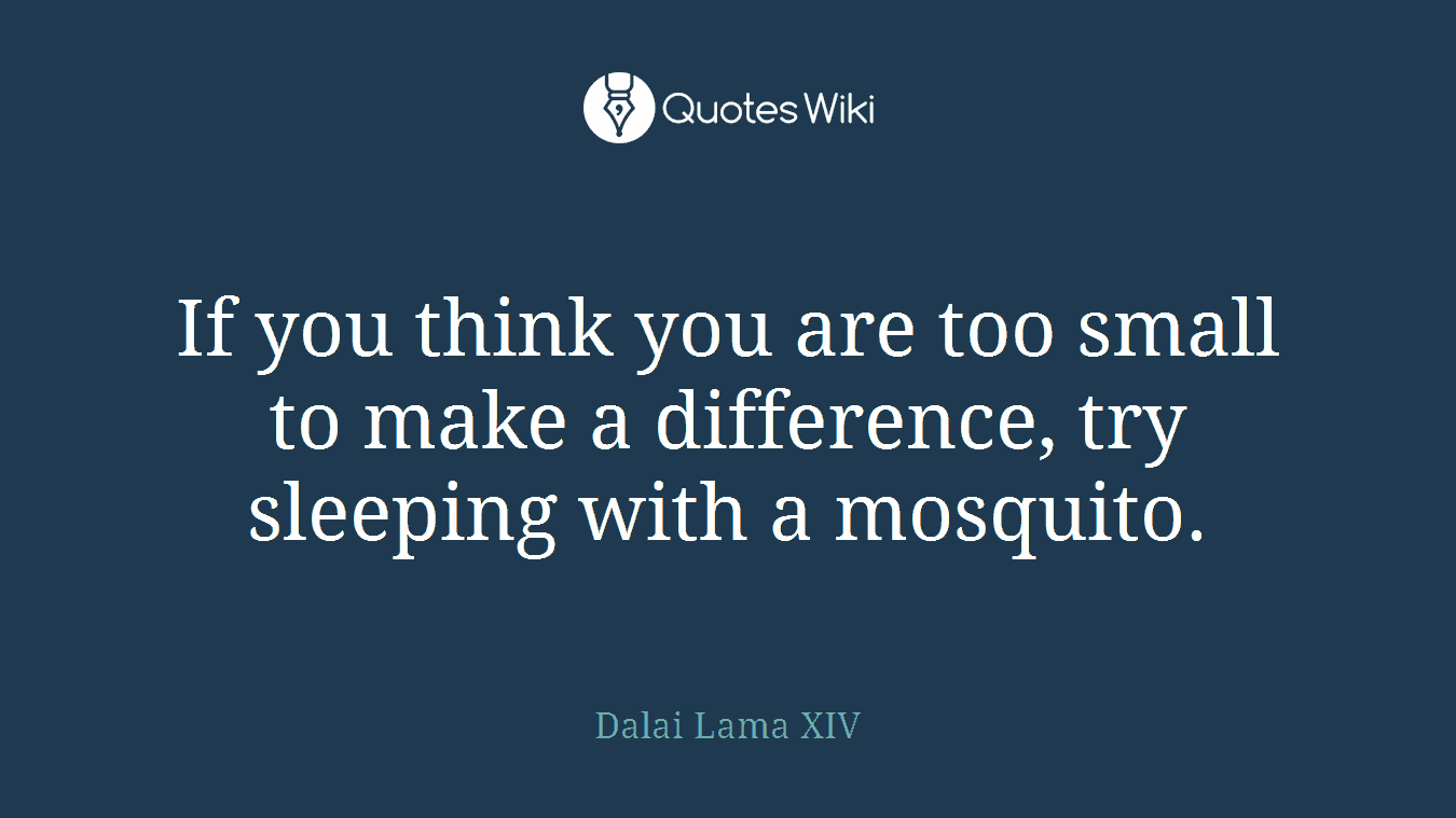 If you think you are too small to make a difference, try sleeping with a mosquito.