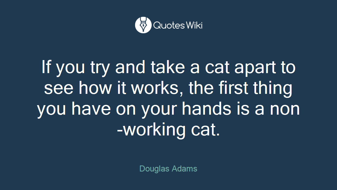 If you try and take a cat apart to see how it works, the first thing you have on your hands is a non-working cat.