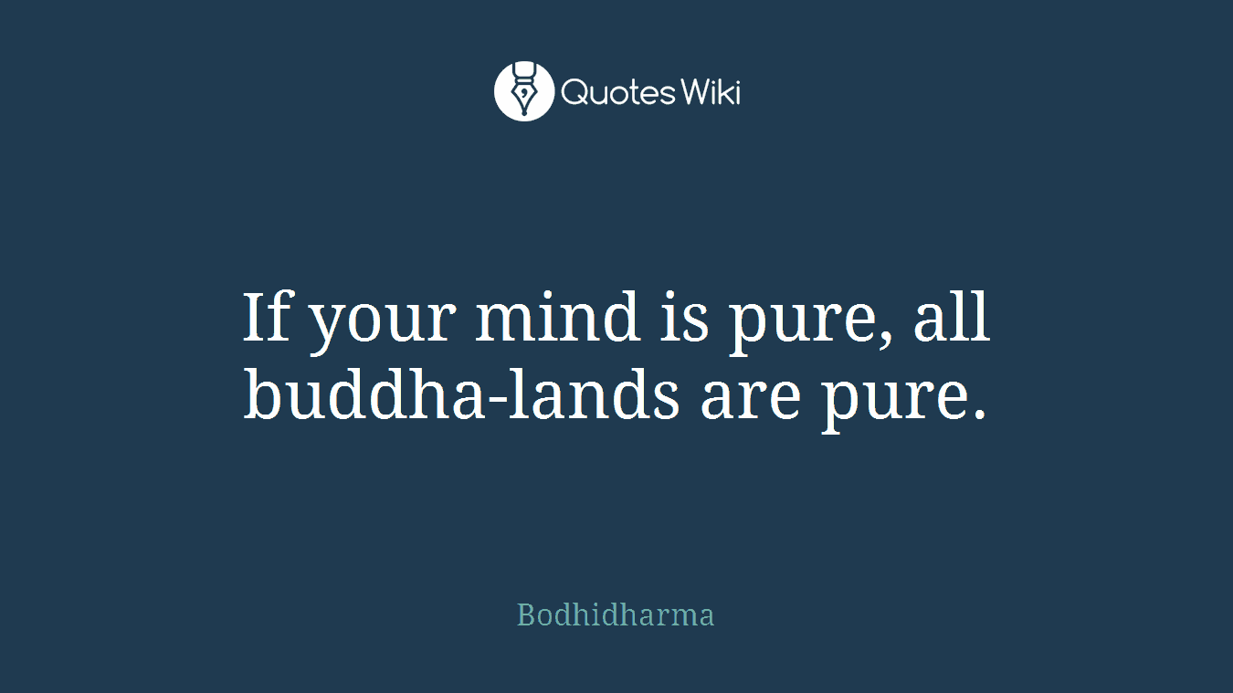 If your mind is pure, all buddha-lands are pure.