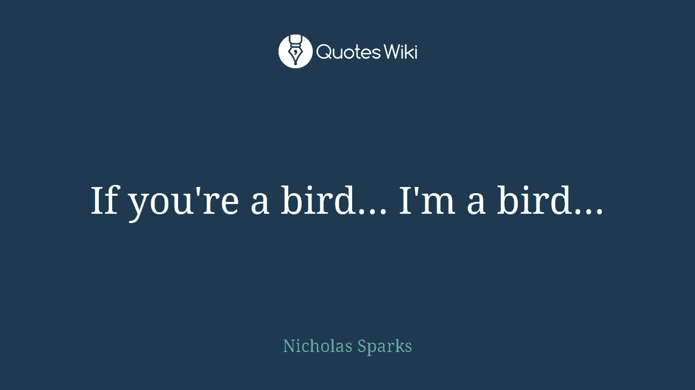 If you're a bird... I'm a bird...