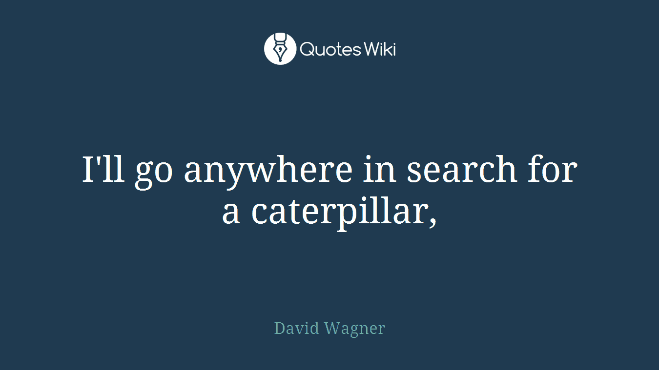 I'll go anywhere in search for a caterpillar,