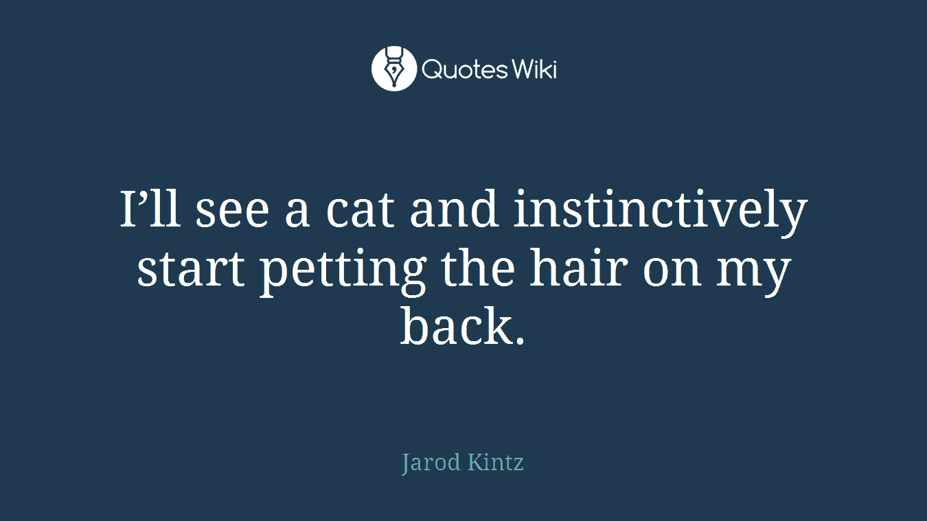 I’ll see a cat and instinctively start petting the hair on my back.