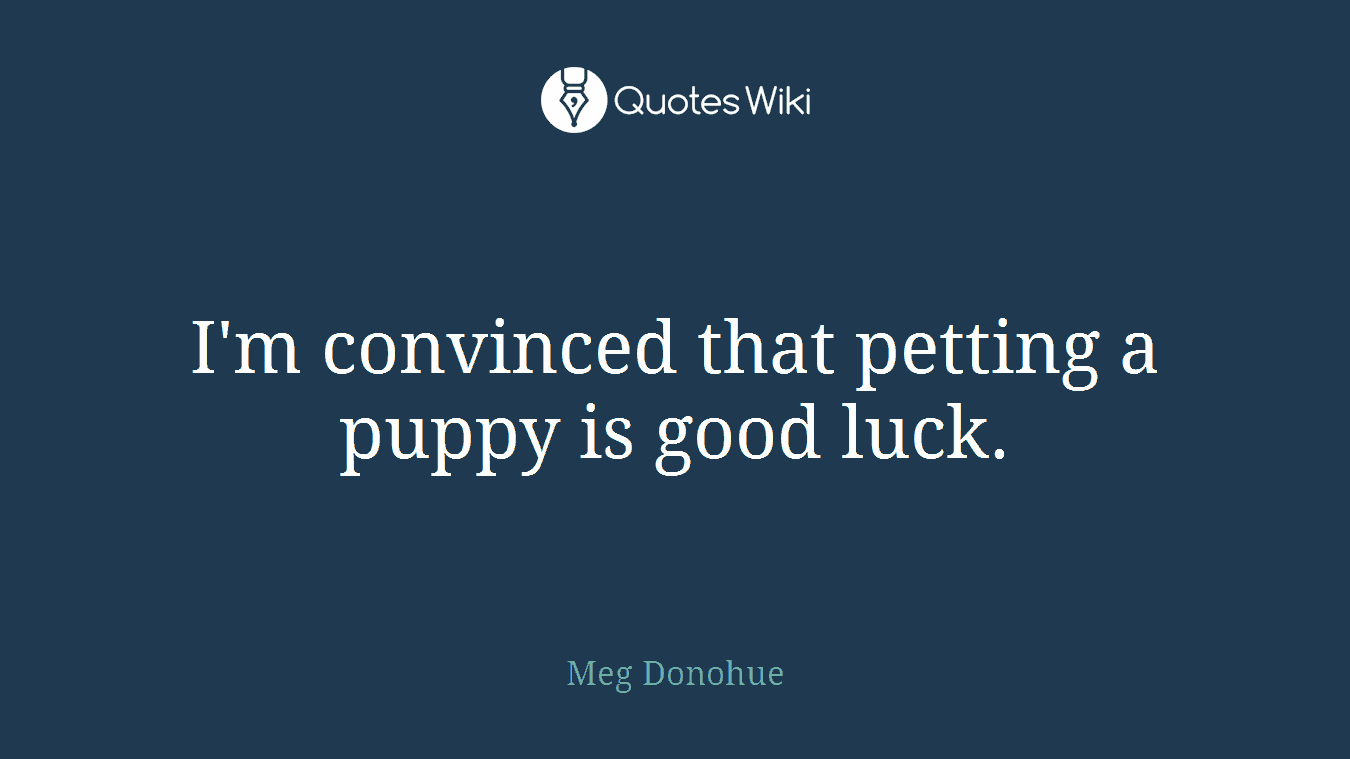 I'm convinced that petting a puppy is good luck.