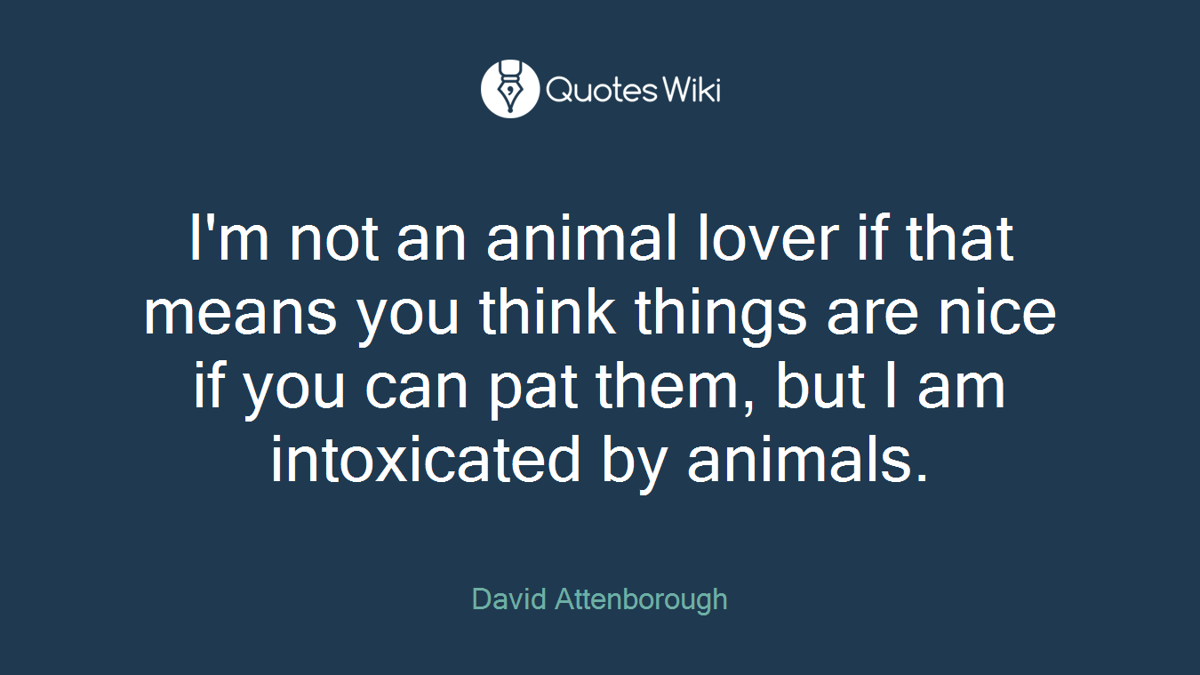 I'm not an animal lover if that means you think things are nice if you can pat them, but I am intoxicated by animals.