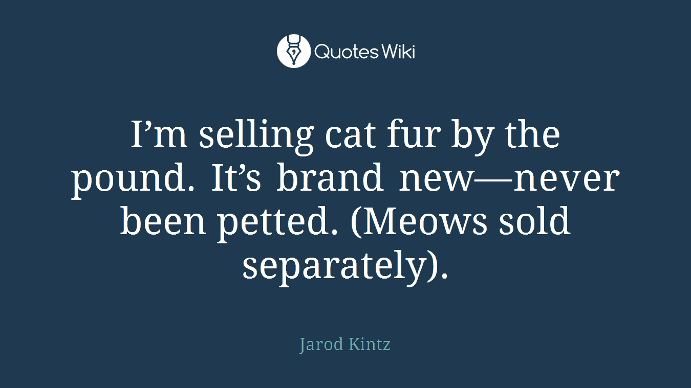 I’m selling cat fur by the pound. It’s brand new—never been petted. (Meows sold separately).