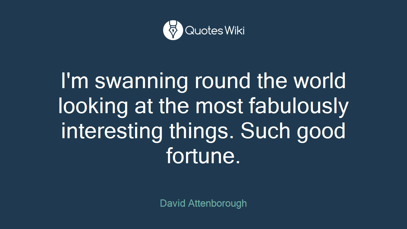 I'm swanning round the world looking at the most fabulously interesting things. Such good fortune.