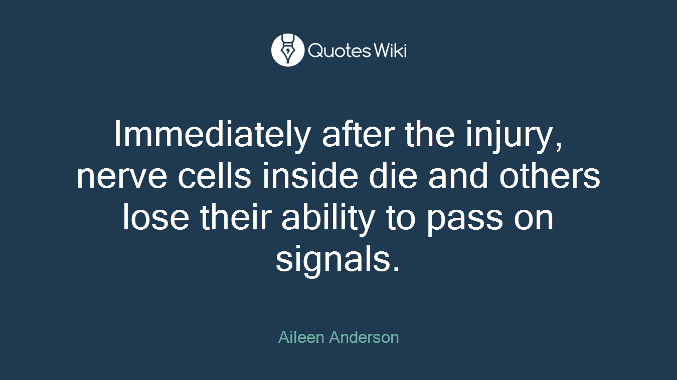 Immediately after the injury, nerve cells inside die and others lose their ability to pass on signals.