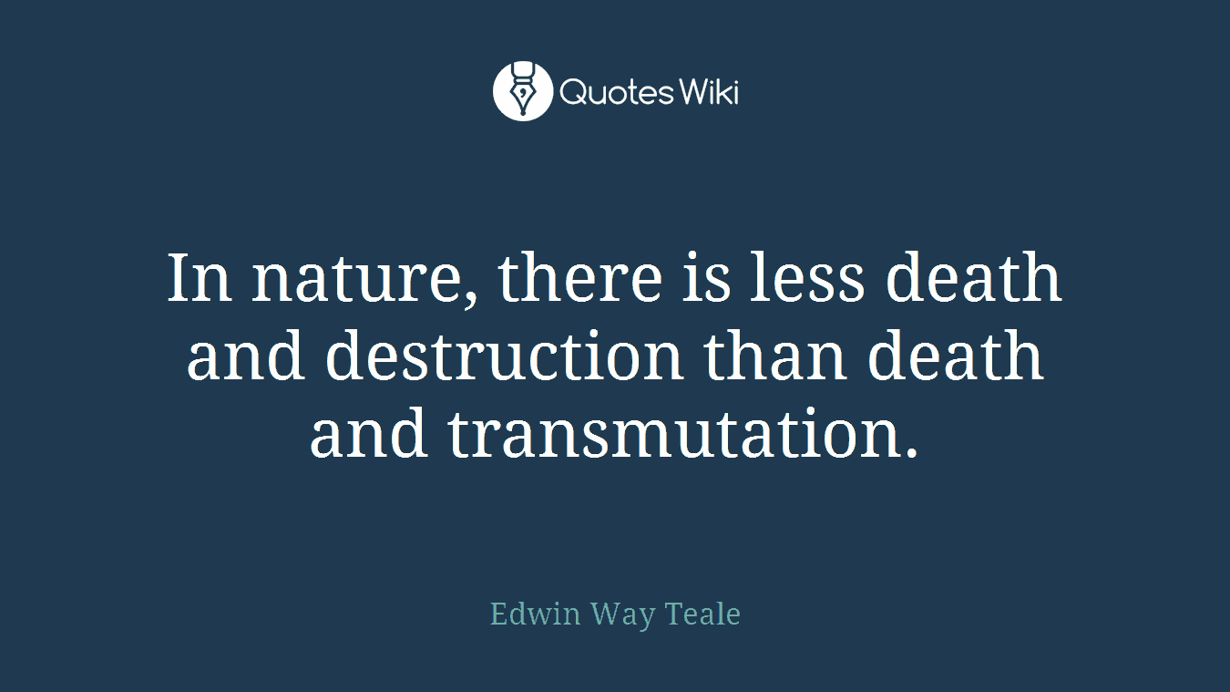 In nature, there is less death and destruction than death and transmutation.