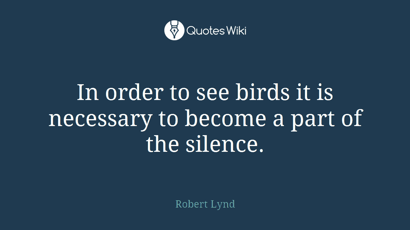 In order to see birds it is necessary to become a part of the silence.