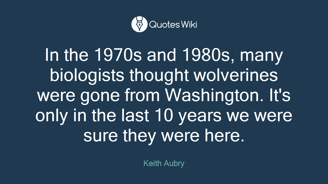 In the 1970s and 1980s, many biologists thought wolverines were gone from Washington. It's only in the last 10 years we were sure they were here.