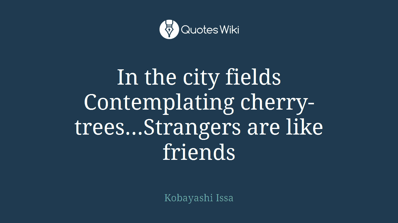 In the city fields Contemplating cherry-trees...Strangers are like friends