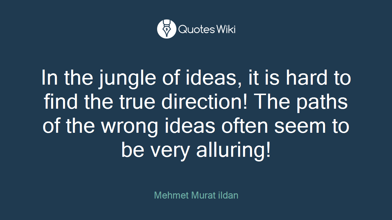 In the jungle of ideas, it is hard to find the true direction! The paths of the wrong ideas often seem to be very alluring!